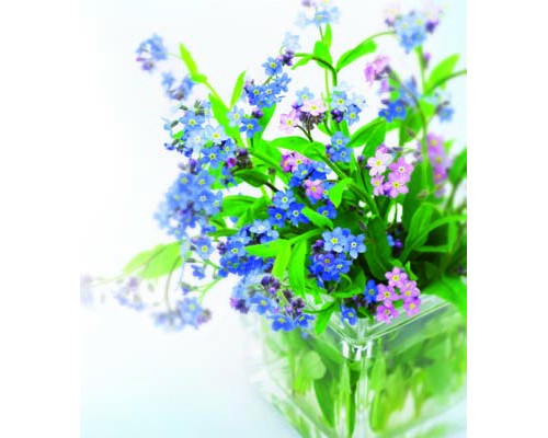 Desk Calendar DC28